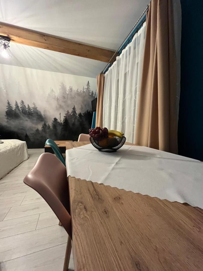 Apartmán U Babci Na Strychu Zakopane Exteriér fotografie